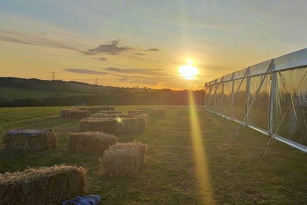 Festival setup